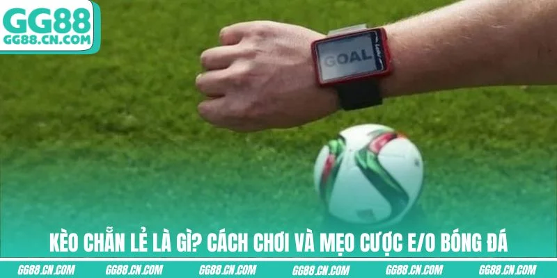 Ảnh đại diện kèo chẳn lẻ là gì