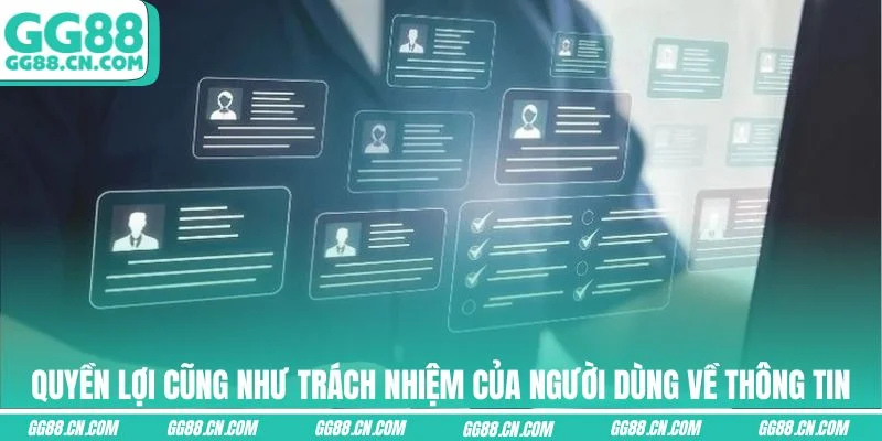 Quyền lợi cũng như trách nhiệm của người dùng về thông tin