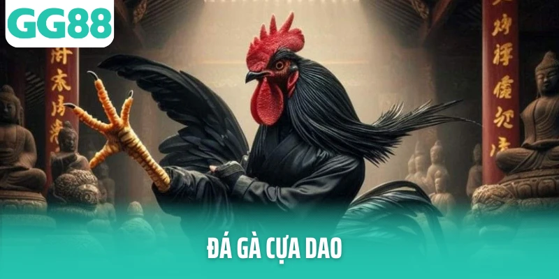 Ảnh đại diện Đá Gà Cựa Dao